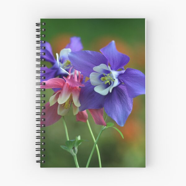 Item preview, Aquilegia Flower designed and sold by clint hudson.