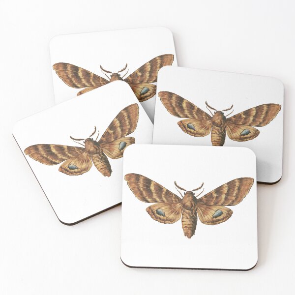 Item preview, Atlas Moth designed and sold by Angry Swan Designs.