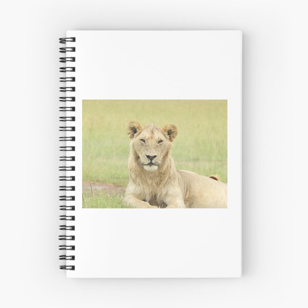 Item preview, Topi Lion designed and sold by Faunagraphy360.