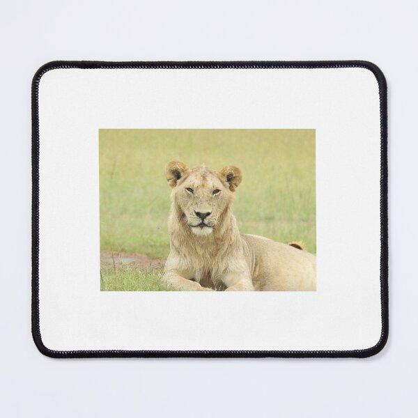 Item preview, Topi Lion designed and sold by Faunagraphy360.