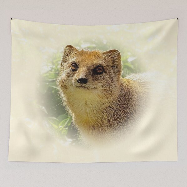 Item preview, Yellow mongoose designed and sold by Guardi71.