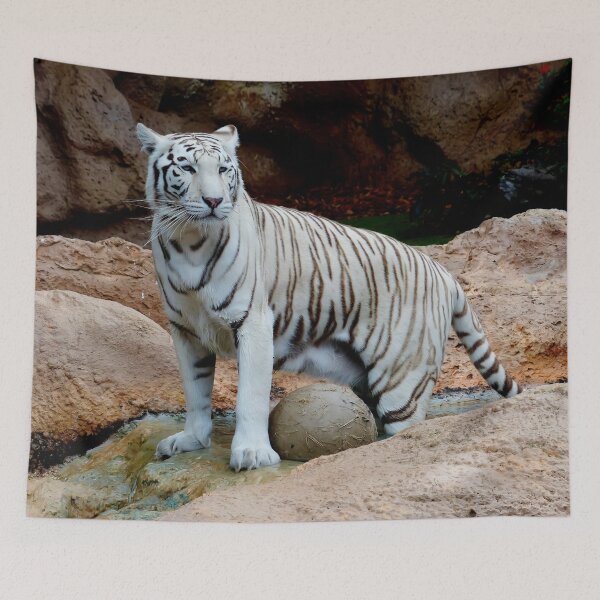 Item preview, White Bengal Tiger Picture designed and sold by Bunmigraphics .