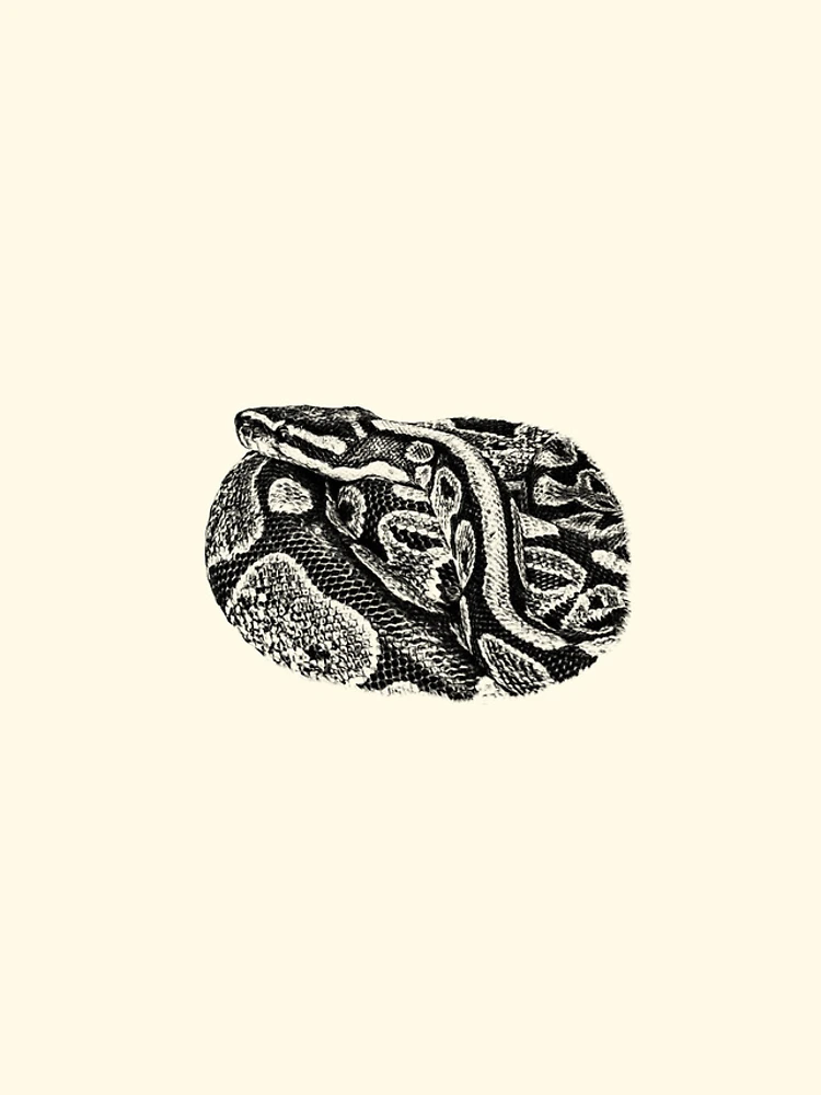 Thumbnail 4 of 4, iPhone Case, Python designed and sold by Guardi71.