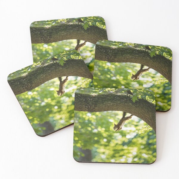 Item preview, Somersaults between branches designed and sold by Collection de trésors .