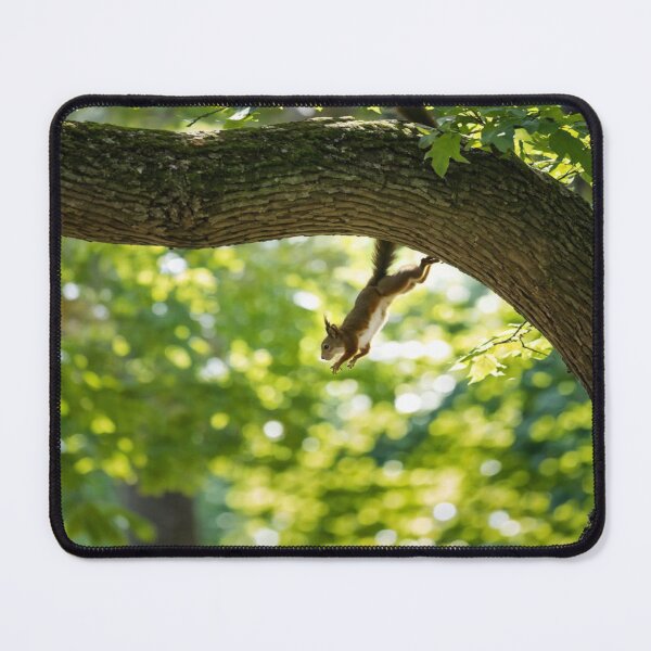 Item preview, Somersaults between branches designed and sold by Collection de trésors .