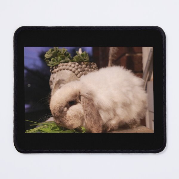 Item preview, Fluffy designed and sold by Alayna de Graaf Photography.