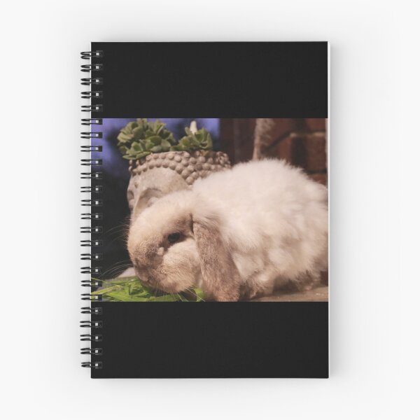 Item preview, Fluffy  designed and sold by Alayna de Graaf Photography.