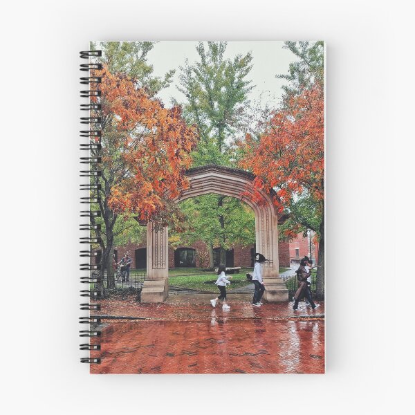 Item preview, Autumn Walk Through the Archway designed and sold by Mel Moreno.