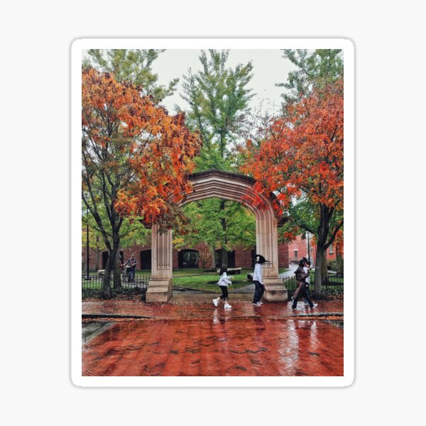 Item preview, Autumn Walk Through the Archway designed and sold by Mel Moreno.