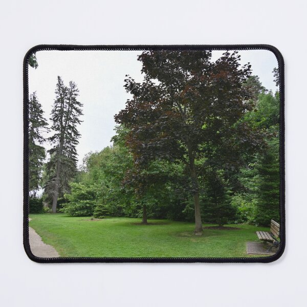 Item preview, lantern in the park and landscape designed and sold by GalynaLB.