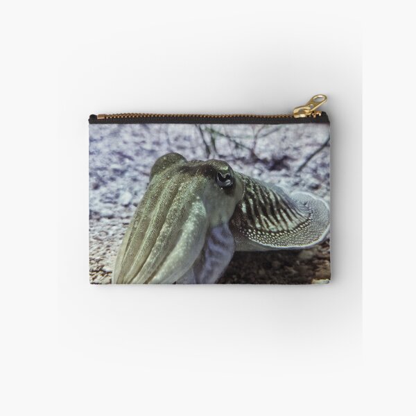 Item preview, Curious Cuttlefish designed and sold by Mel Moreno.
