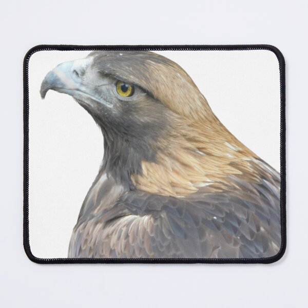 Item preview, Great Golden Eagle designed and sold by Photomainia.