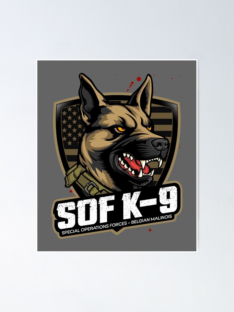 Special Operations Forces K9 Belgian Malinois