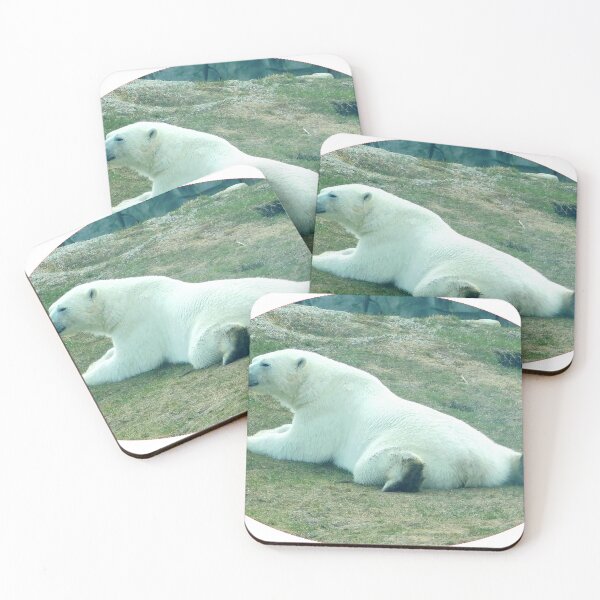 Item preview, Yoga Bear designed and sold by Photomainia.