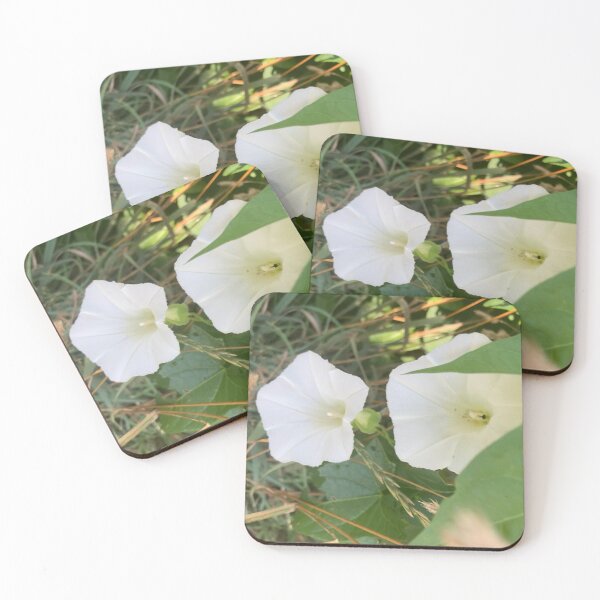 Item preview, Morning Glories  designed and sold by Amanda1775.