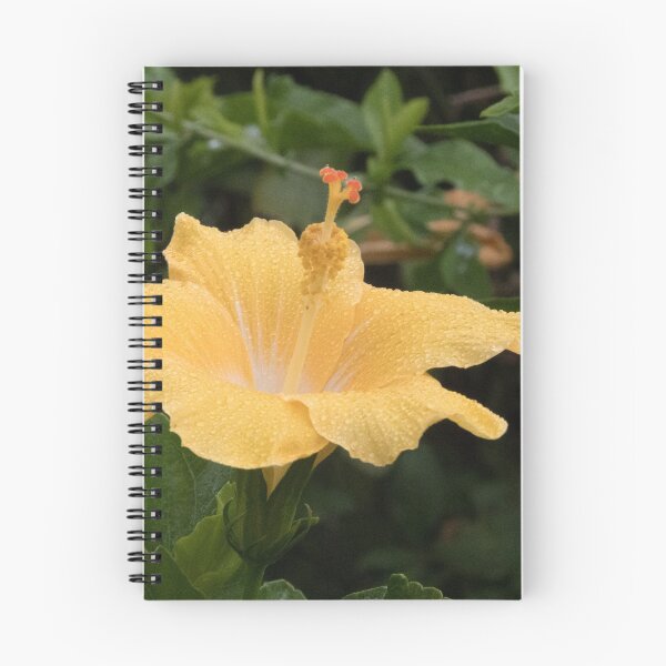 Item preview, Yellow Hibiscus Leith Park Victoria 20180115 2079  designed and sold by Fred Mitchell.