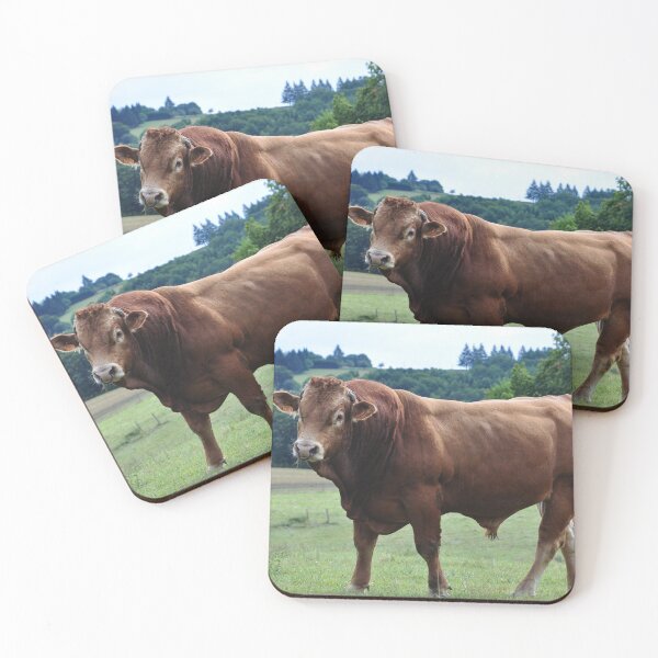 Item preview, Limousine Bull designed and sold by Alison Crowe.
