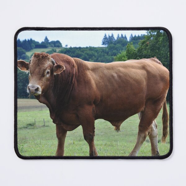 Item preview, Limousine Bull designed and sold by Alison Crowe.