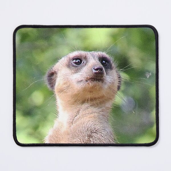 Item preview, Meerkat 079 designed and sold by JAMFoto.