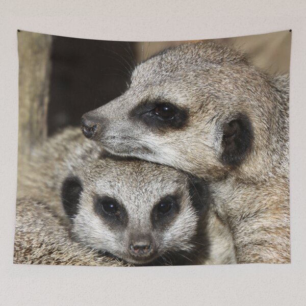 Item preview, Meerkat 077 designed and sold by JAMFoto.