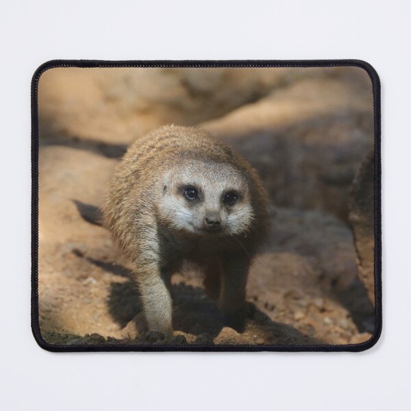 Item preview, Meerkat 078 designed and sold by JAMFoto.