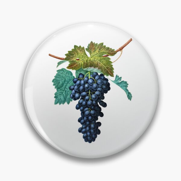 Item preview, Black Grapes On Vine 1809 George Brookshaw designed and sold by RocketshipRetro.