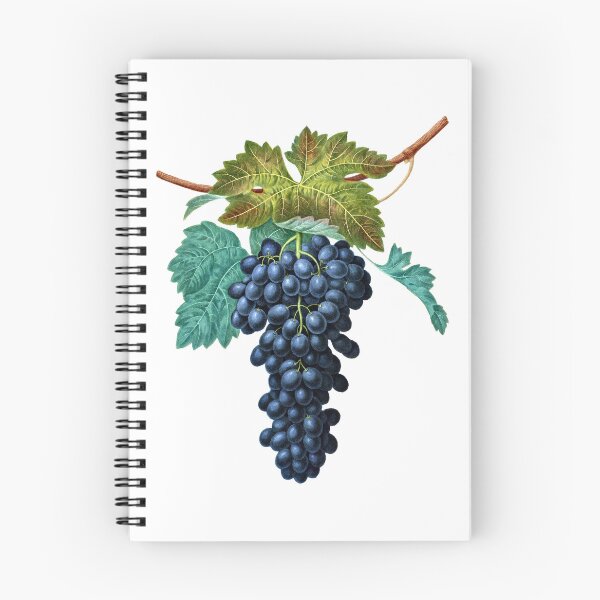 Item preview, Black Grapes On Vine 1809 George Brookshaw designed and sold by RocketshipRetro.