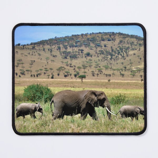 Item preview, African Elephants in Serengeti National Park, Tanzania designed and sold by Jetsetting-W-US.