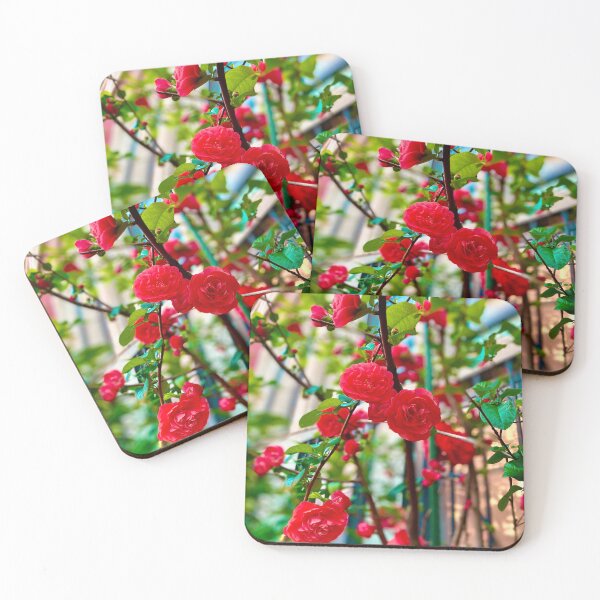 Item preview, Roses in New York City designed and sold by Jetsetting-W-US.