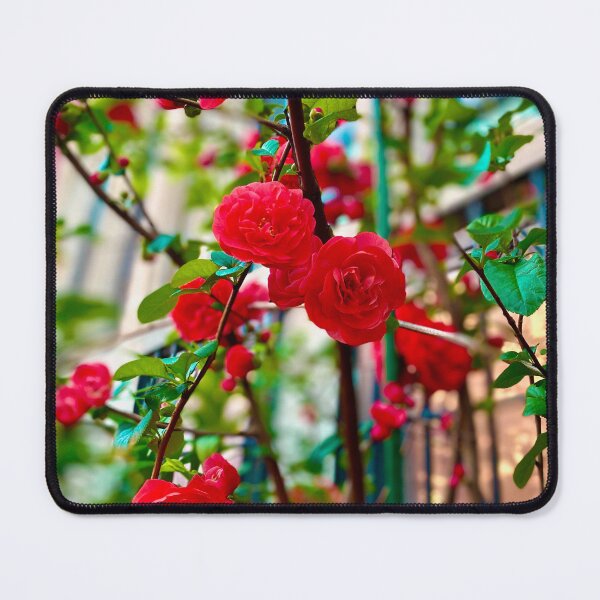 Item preview, Roses in New York City designed and sold by Jetsetting-W-US.