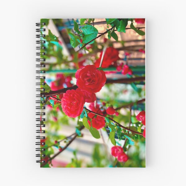 Item preview, Roses in New York City designed and sold by Jetsetting-W-US.