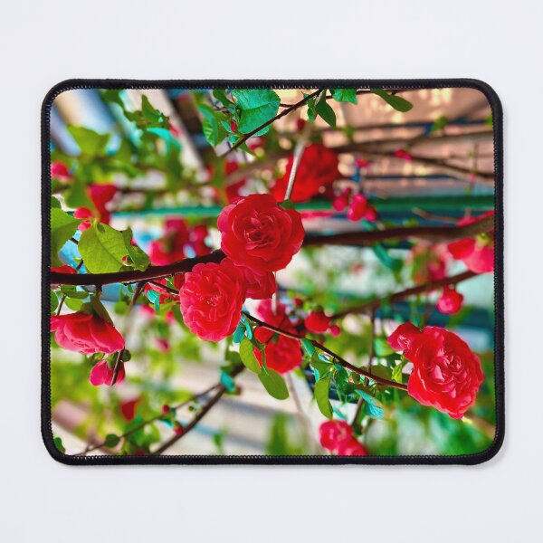 Item preview, Roses in New York City designed and sold by Jetsetting-W-US.