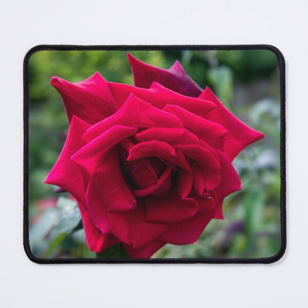 Item preview, Red rose designed and sold by jasminewang.