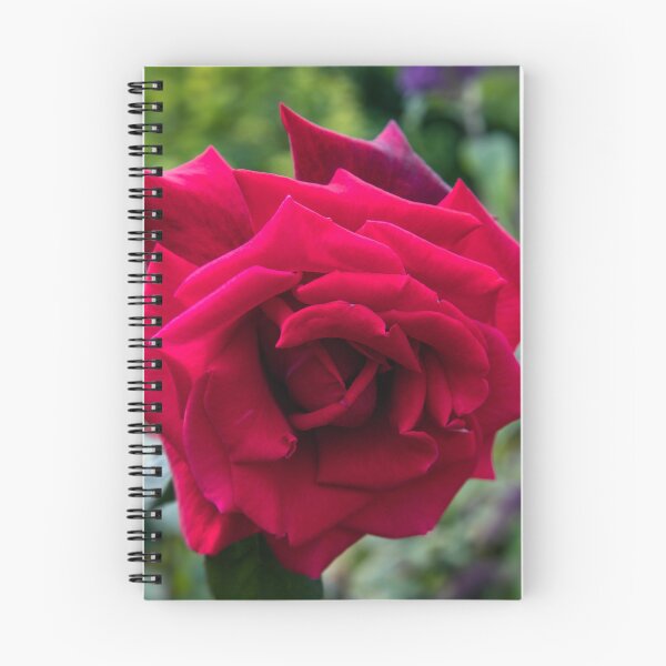 Item preview, Red rose designed and sold by jasminewang.