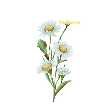 Artwork thumbnail, Daisy is Innocence by RainsQuillMask