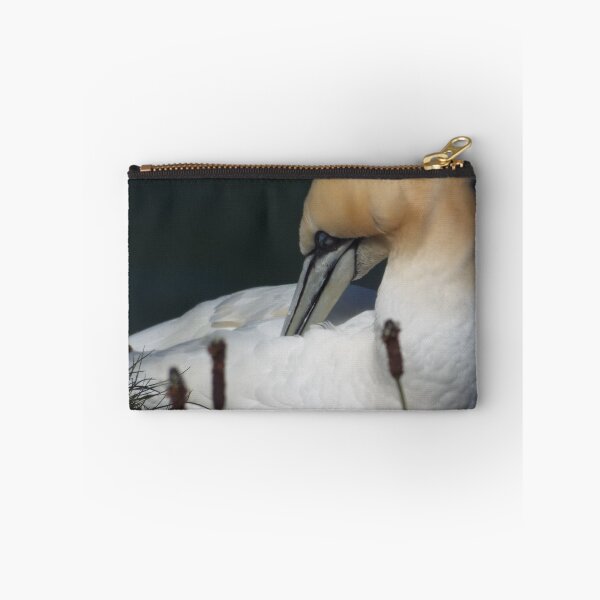 Item preview, Picture of a Gannet designed and sold by claresphotos.