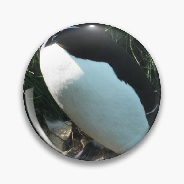 Item preview, Picture of a Razorbill designed and sold by claresphotos.