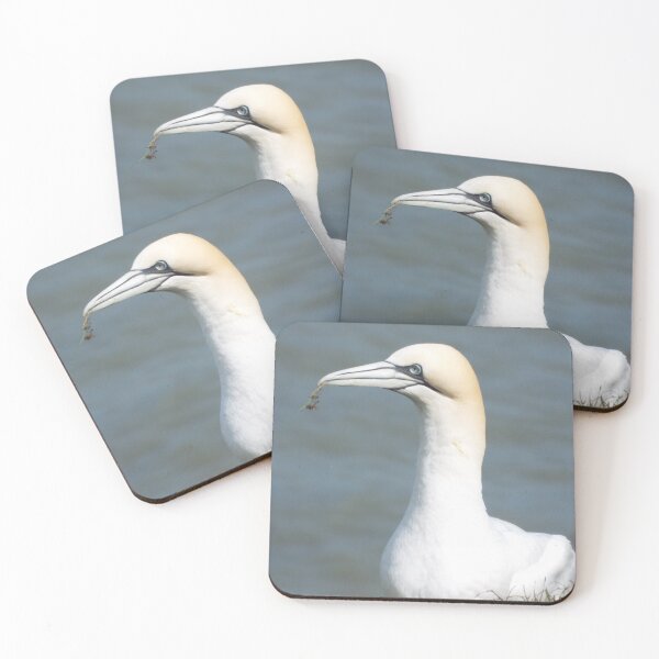 Item preview, Picture of a Gannet designed and sold by claresphotos.