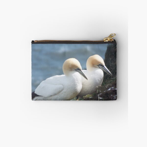 Item preview, Picture of 2 Gannets designed and sold by claresphotos.