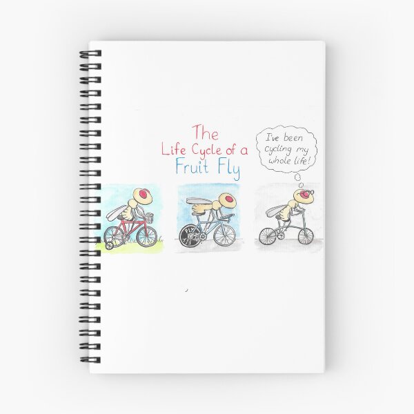 Item preview, The life cycle of a fruit fly designed and sold by DaniEdmunds.