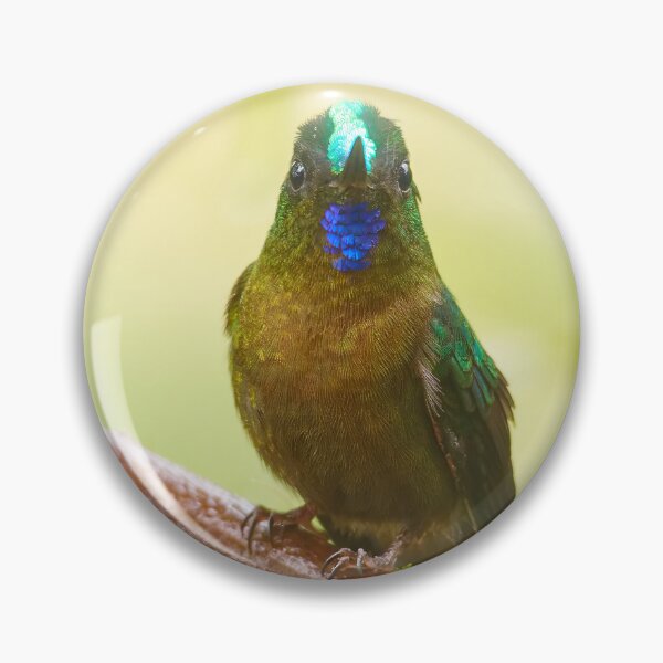 Item preview, SHINY HEAD designed and sold by adumont1.