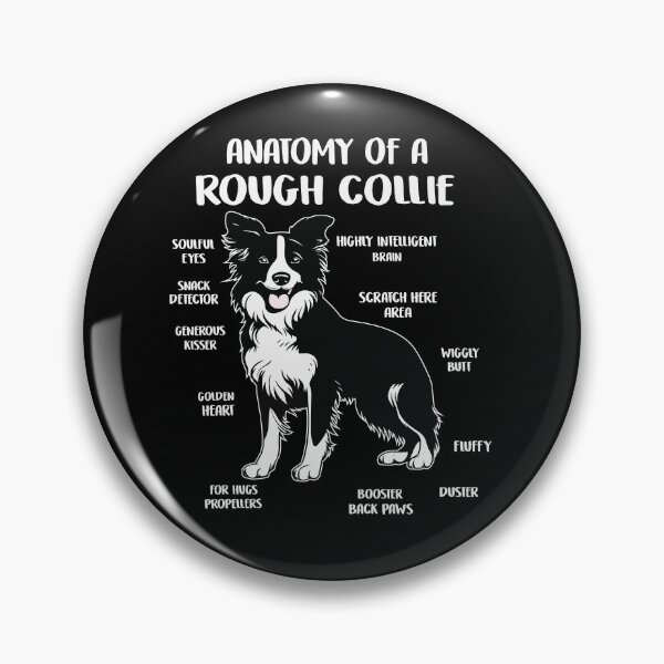 Item preview, Anatomy Of A Rough Collie Funny Dog Puppy designed and sold by Artistoos.