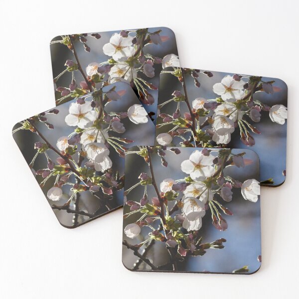 Item preview, Backlit White Cherry Blossom Branch in Bloom designed and sold by couragesings.