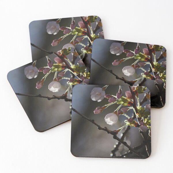 Item preview, White Cherry Blossom Branch with Sunlight Streaming Through designed and sold by couragesings.