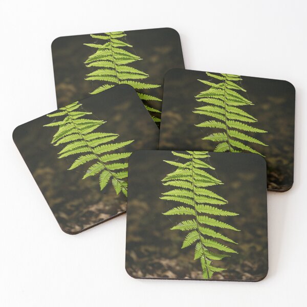 Item preview, Digital Photography luminous sunlit fern designed and sold by SimonJohnson1.