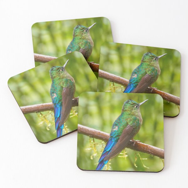 Item preview, VIOLET-TAILED SYLPH designed and sold by adumont1.
