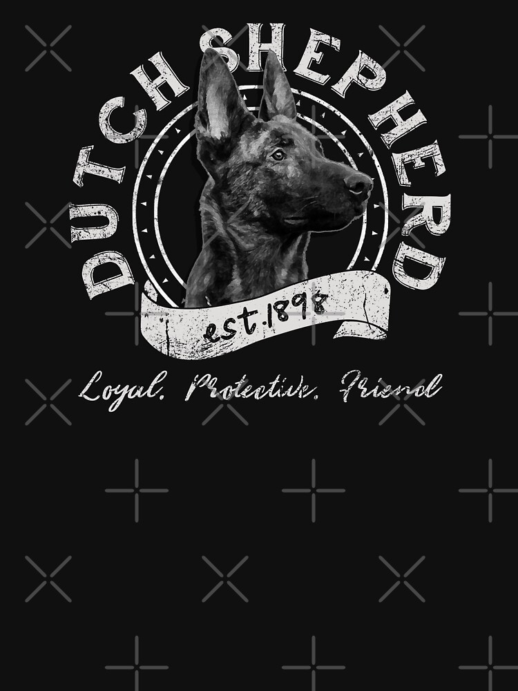 Dutch Shepherd Dog by EddieBalevo