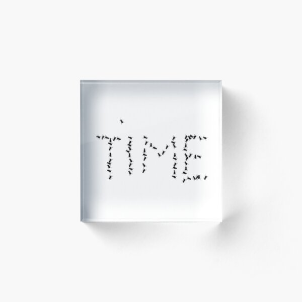 Time Flies Acrylic Block