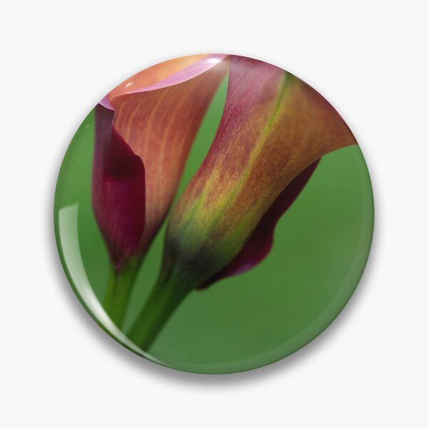 Item preview, Calla Lilies designed and sold by clint hudson.
