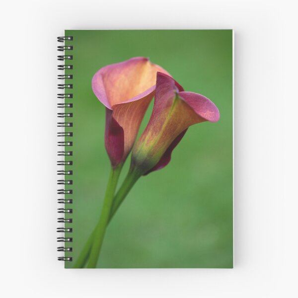 Item preview, Calla Lilies designed and sold by clint hudson.